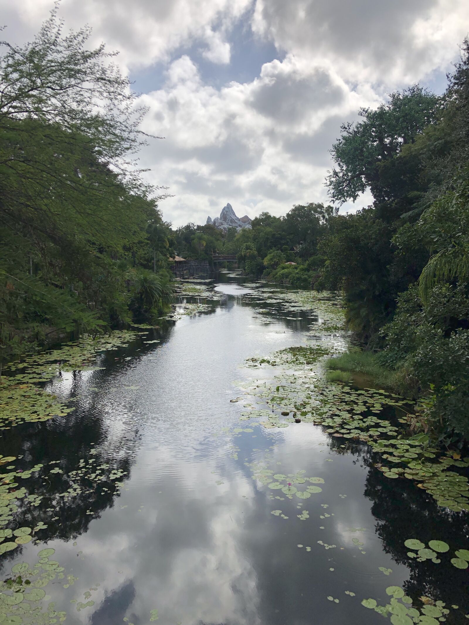 iPhone X back dual camera 4mm f/1.8 sample photo. River, nature, landscape photography