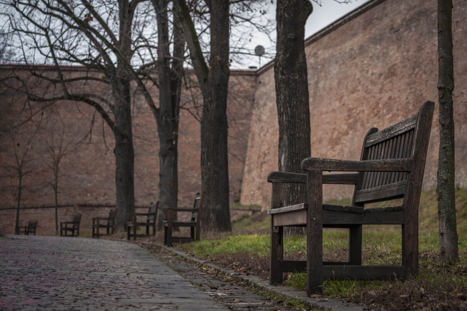 Nikon D5600 sample photo. Park, bench, city photography