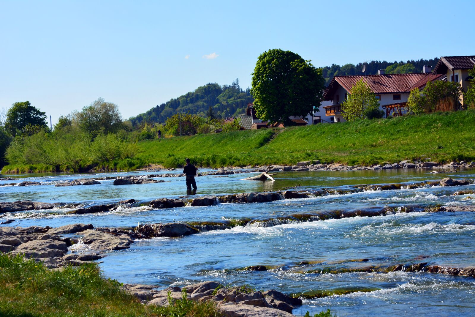 Nikon D5200 sample photo. Fish, grassland, mangfall photography