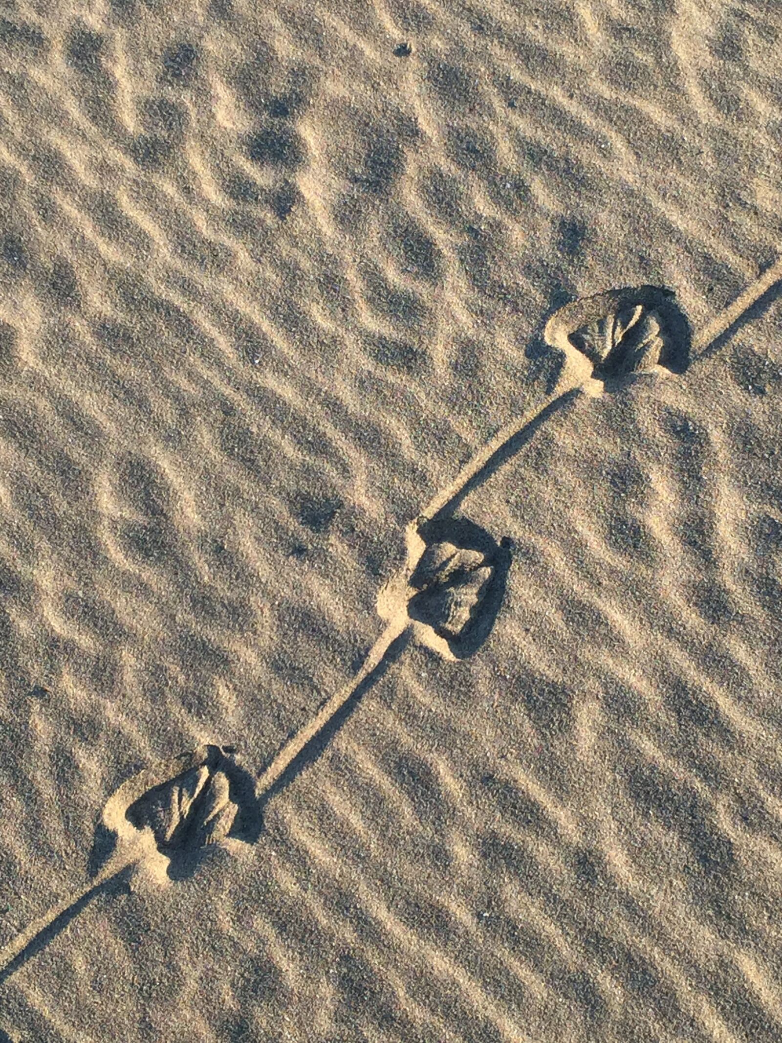 Apple iPhone 6 sample photo. Prints, sand, beach photography