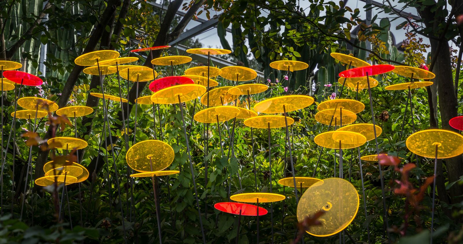 Sony SLT-A77 sample photo. Acrylic discs, yellow, orange photography