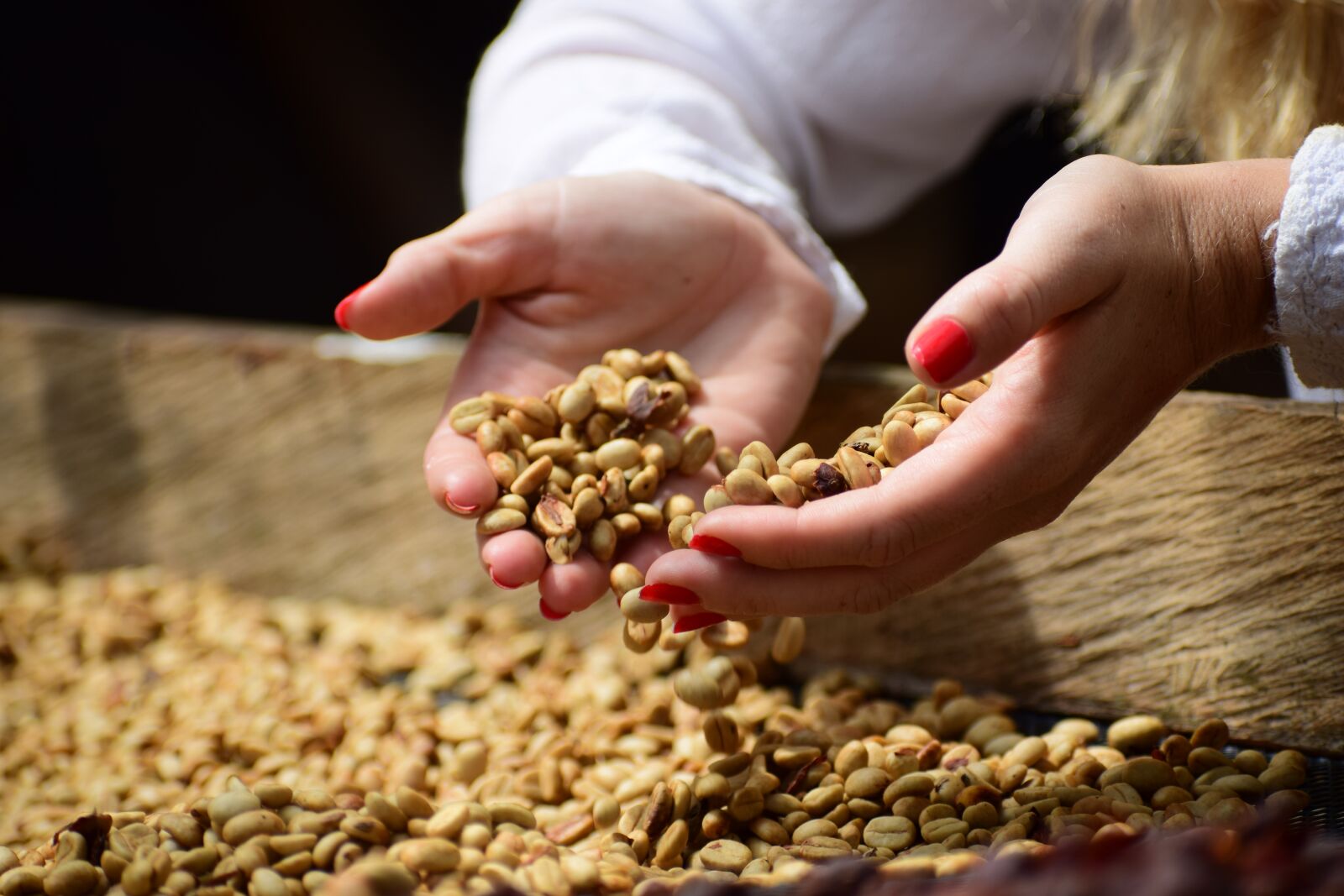 Nikon D5300 sample photo. Coffee, beans, hands photography