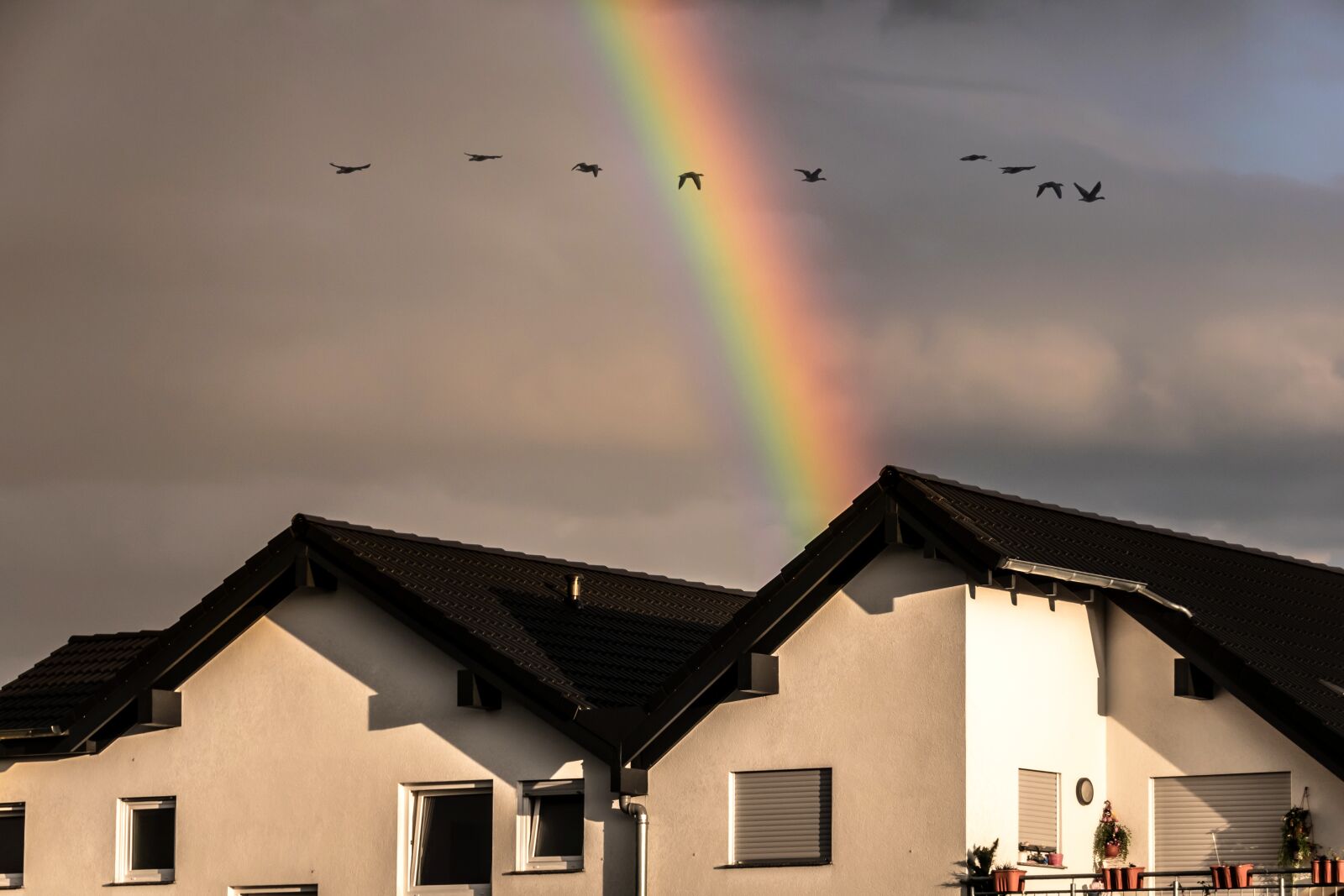 Canon PowerShot G3 X sample photo. Rainbow, colorful, sky photography