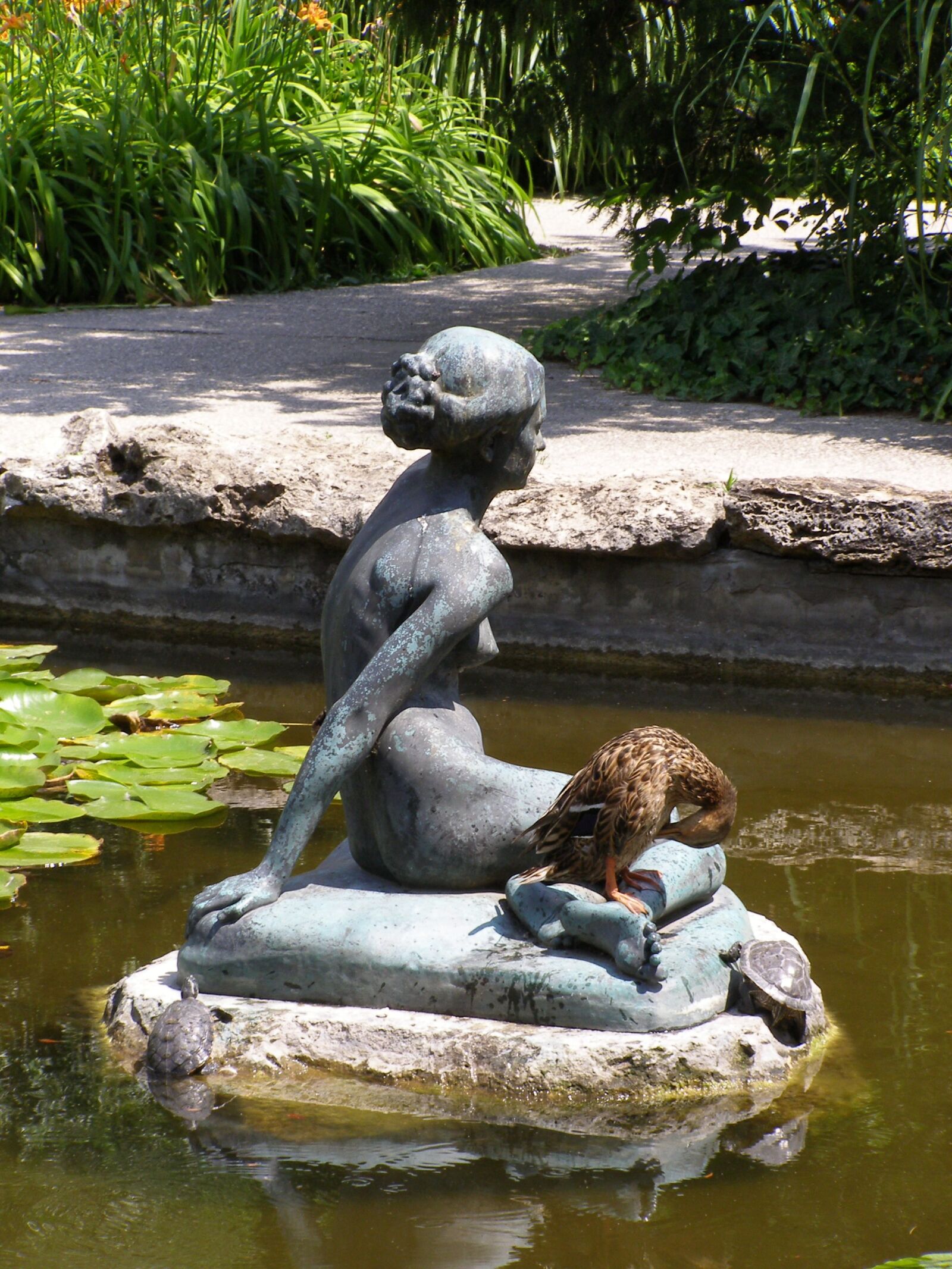 Olympus SP500UZ sample photo. Sculpture, water, duck photography