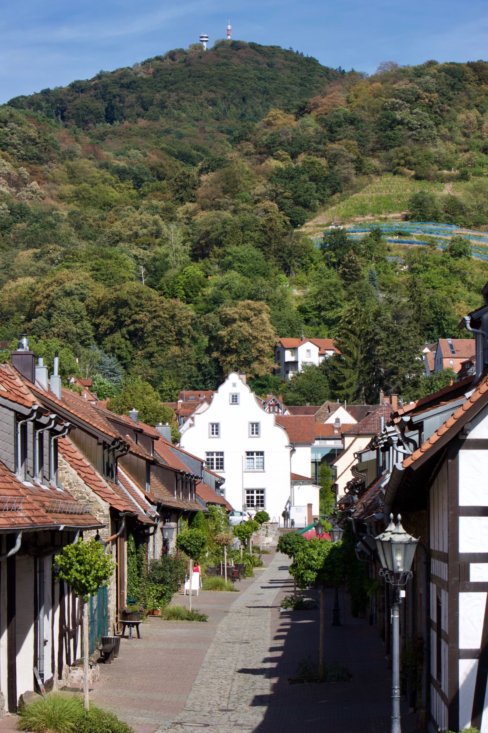 Canon EOS 500D (EOS Rebel T1i / EOS Kiss X3) sample photo. Zwingenberg, melibokus, historic center photography