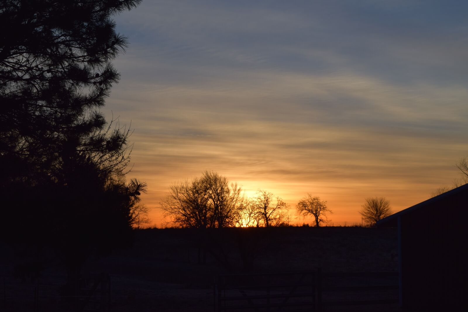 Nikon D3300 sample photo. Sunrise, morning, golden photography