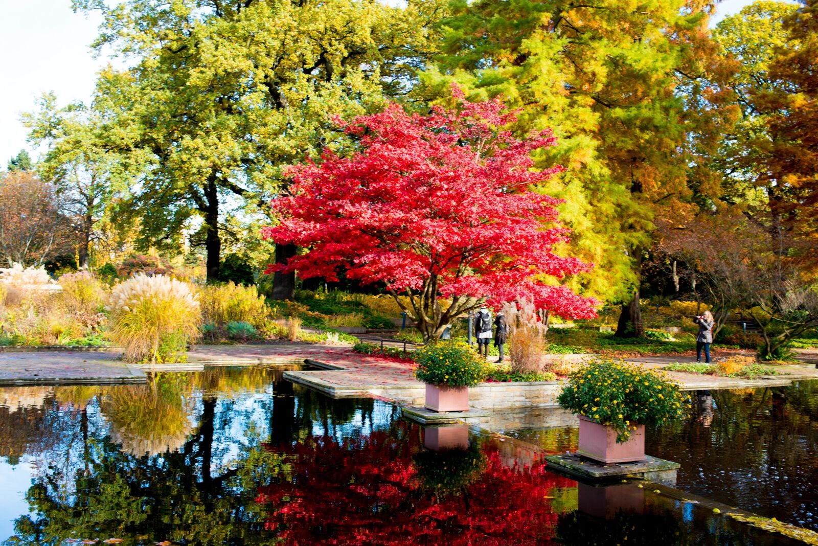 Nikon D750 sample photo. Hamburg, park, autumn colours photography