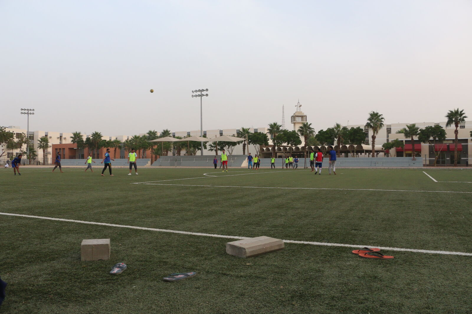 Canon EOS 70D sample photo