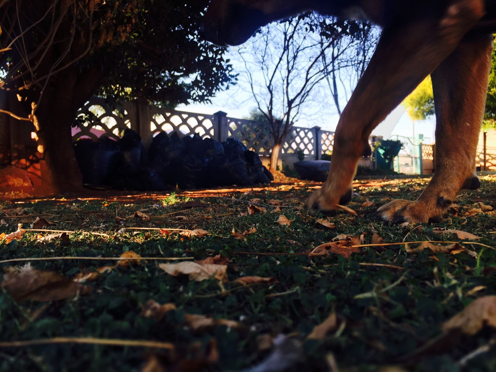 iPhone 6 back camera 4.15mm f/2.2 sample photo