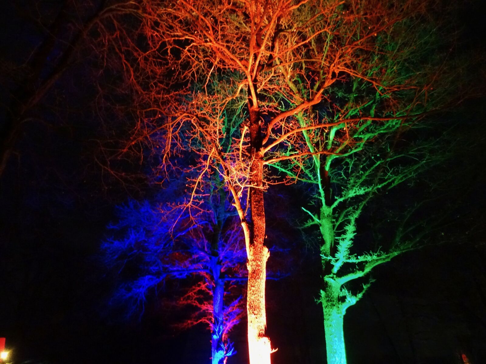 Sony DSC-HX60 sample photo. Light installation, christmas garden photography