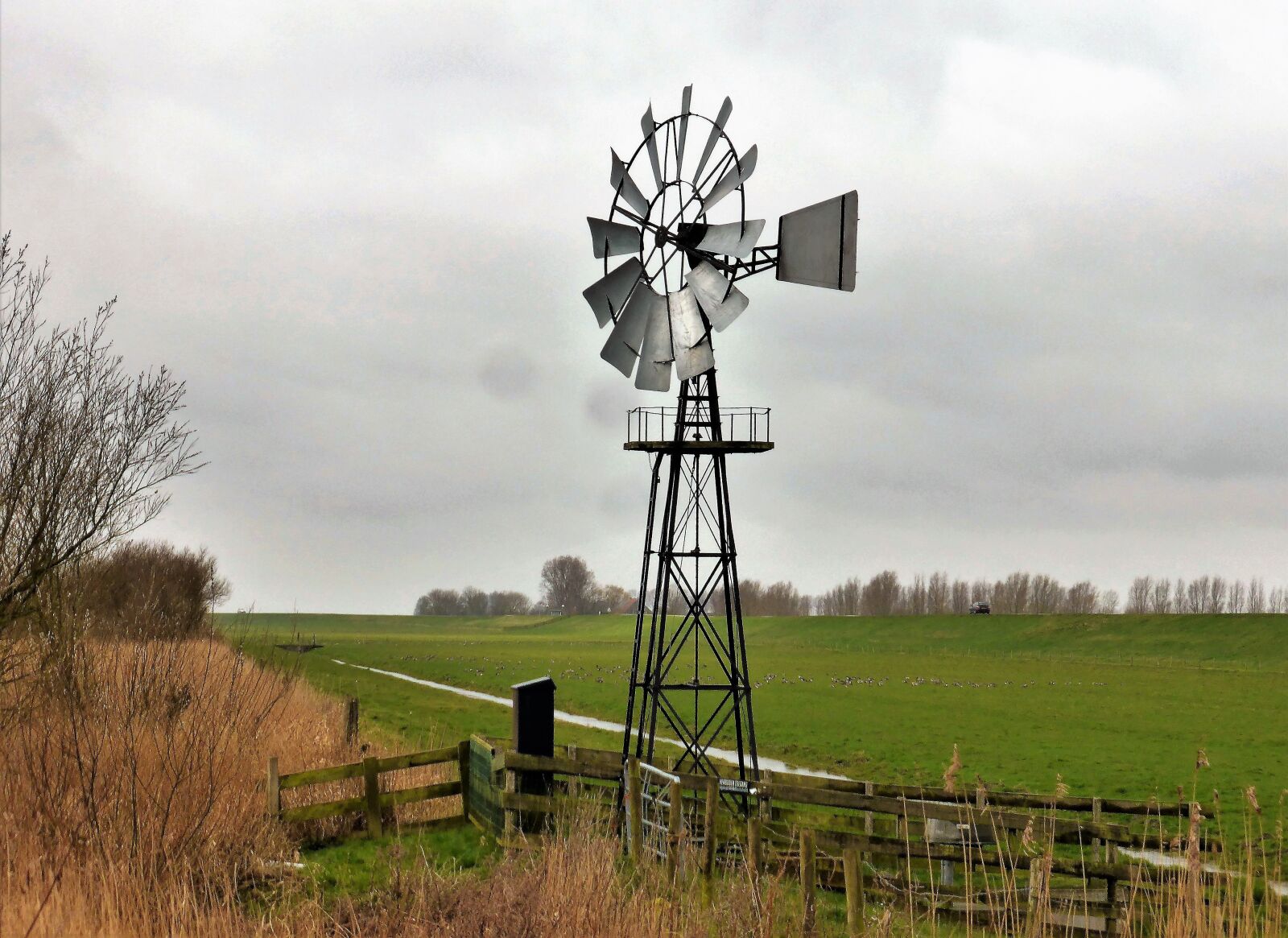 Panasonic Lumix DMC-ZS30 (Lumix DMC-TZ40) sample photo. Landscape, polder, mill photography