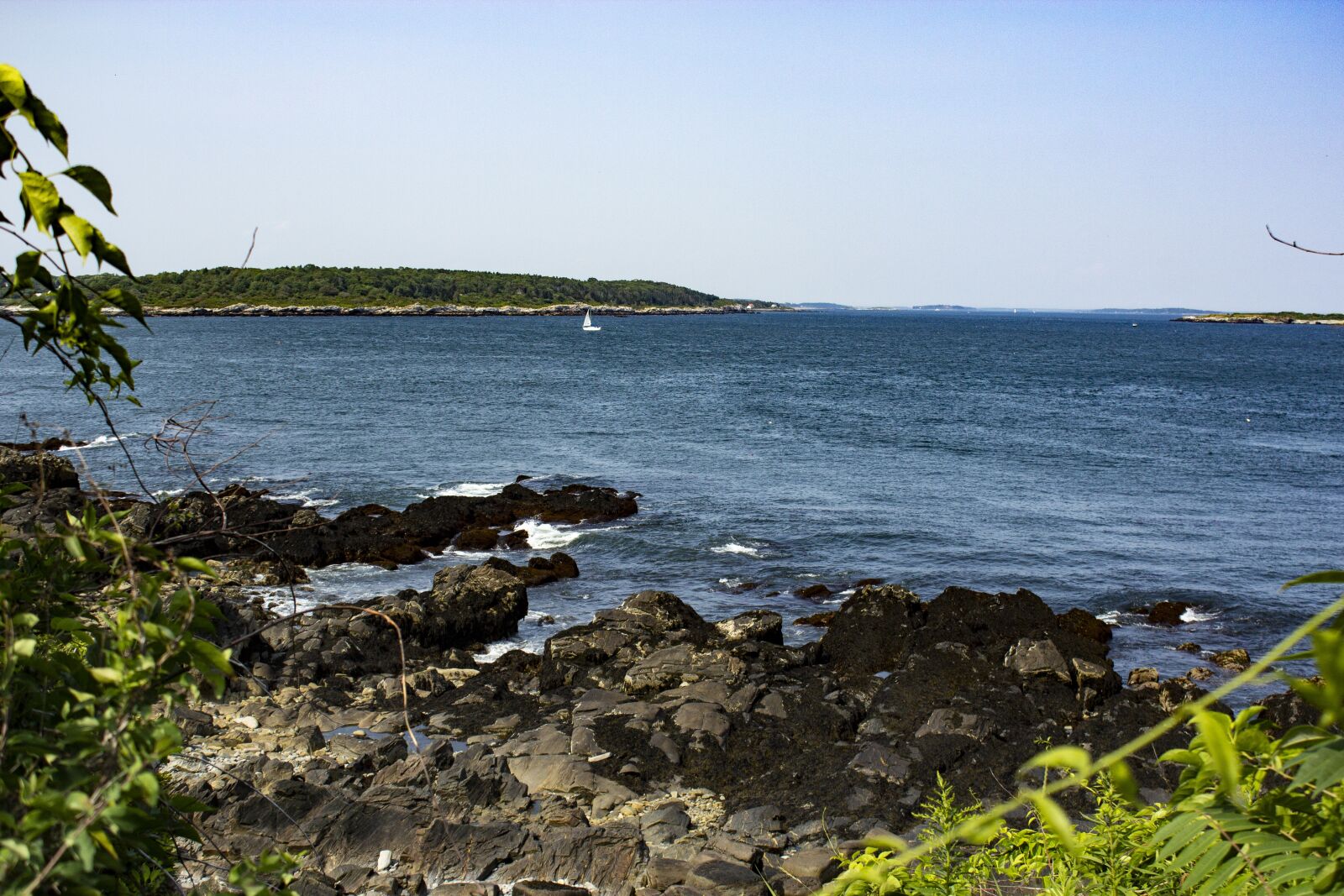 Canon EOS 600D (Rebel EOS T3i / EOS Kiss X5) sample photo. Maine, portland, coast photography