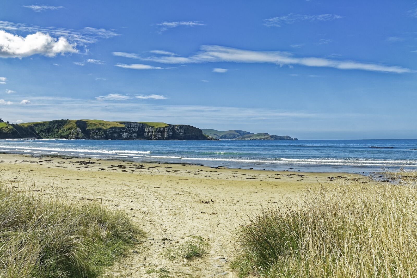 Nikon D500 sample photo. New zealand, jack's bay photography