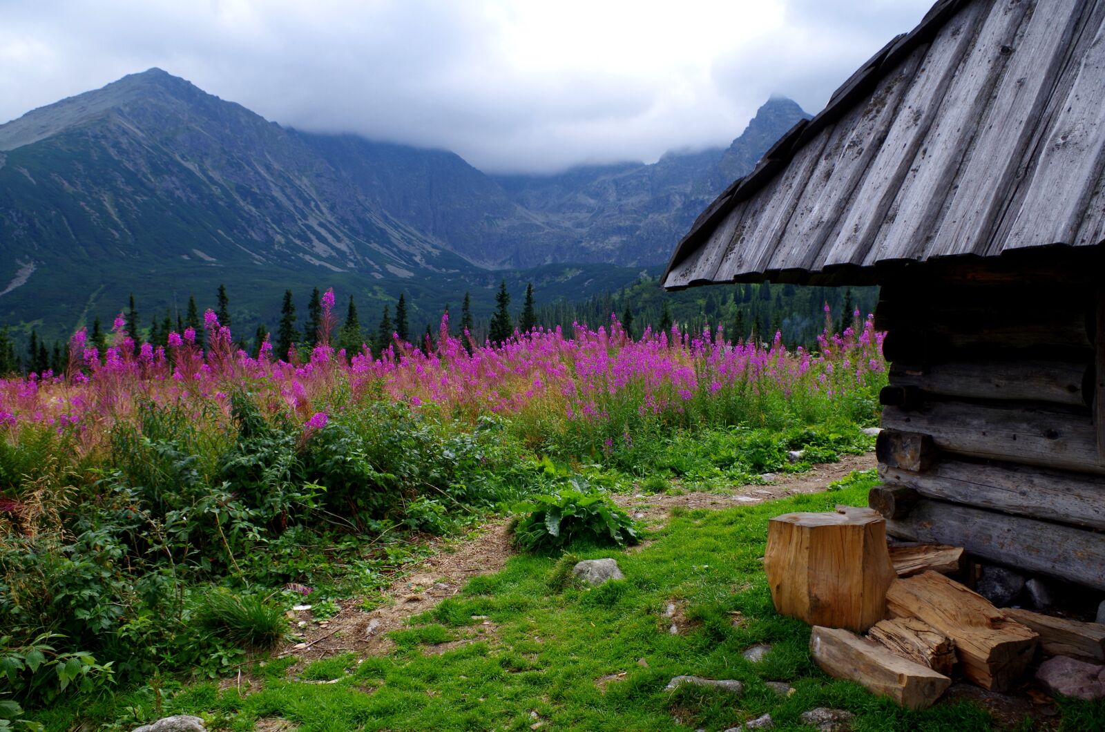 Pentax K-500 sample photo. Mountains, landscape, mountain photography