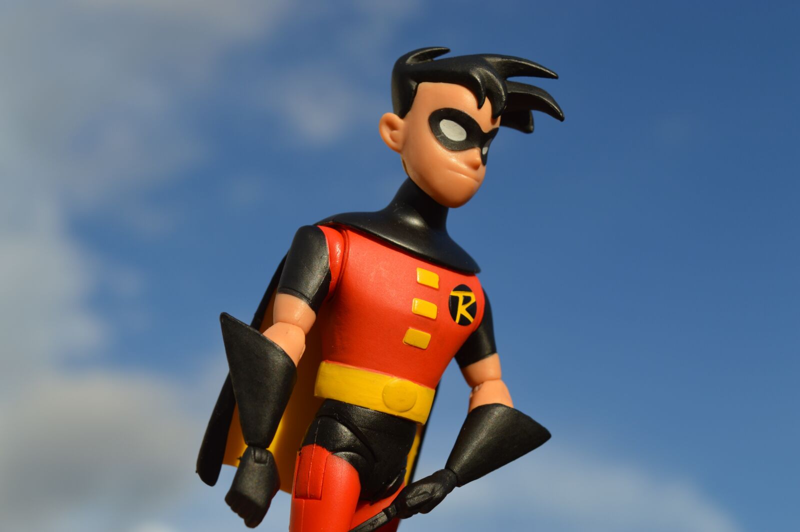 Nikon D3200 sample photo. Robin, batman, hero photography