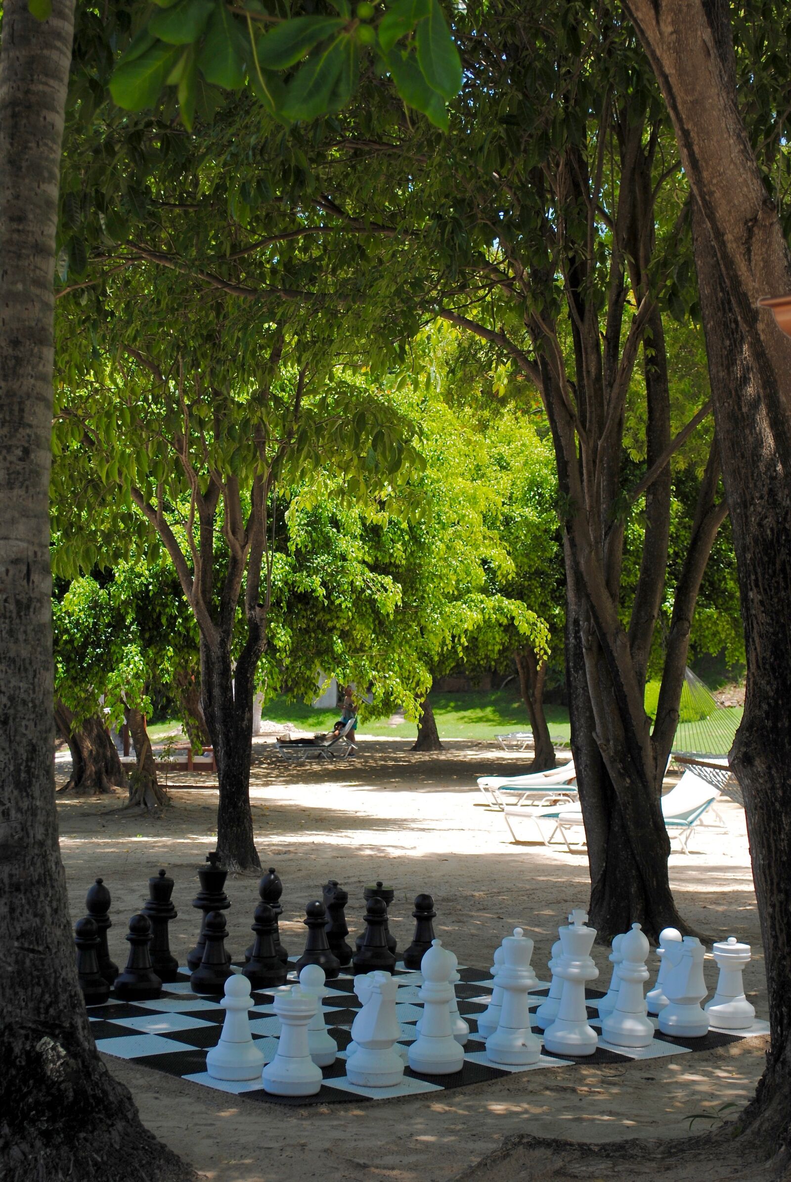Nikon D3000 sample photo. Chess, game, beach photography