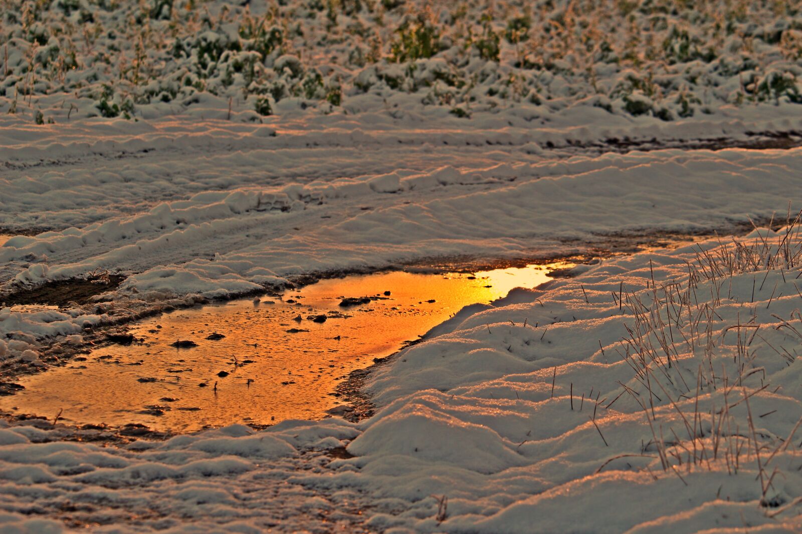Canon EOS 100D (EOS Rebel SL1 / EOS Kiss X7) sample photo. Winter, snow, afterglow photography