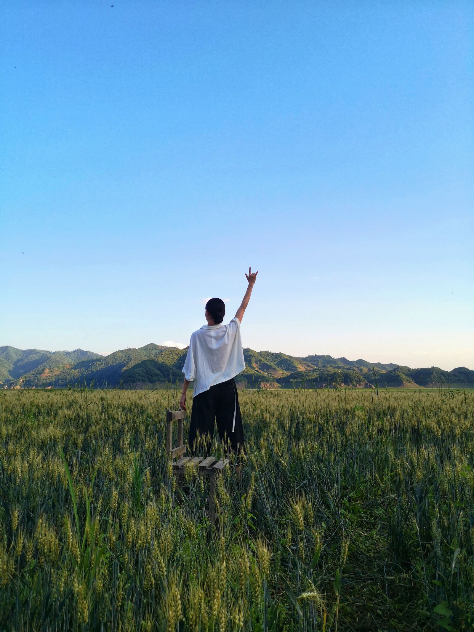 HUAWEI P20 sample photo. Field, girl, sky photography