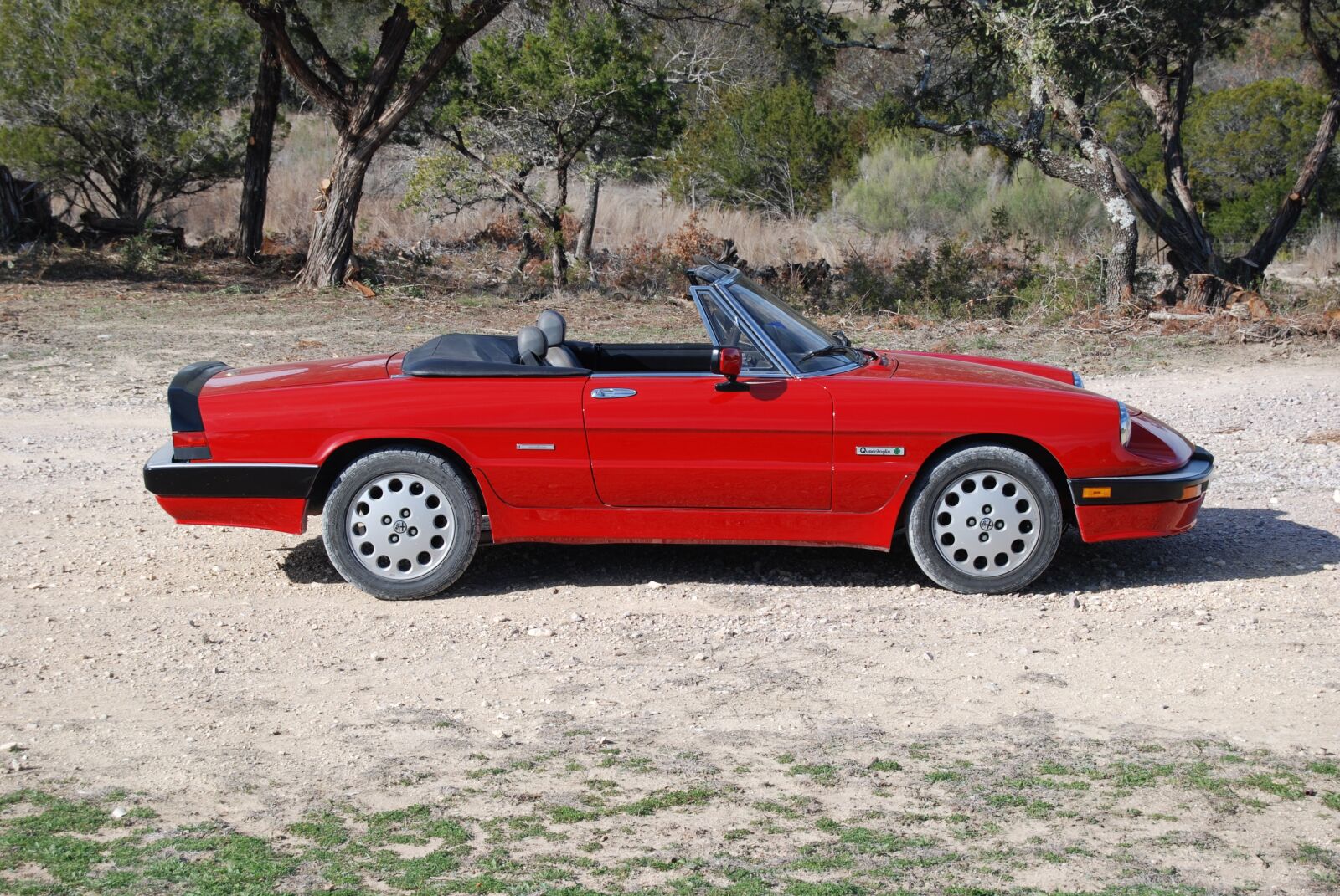 Nikon D80 sample photo. Alfa romeo, spider, sports photography