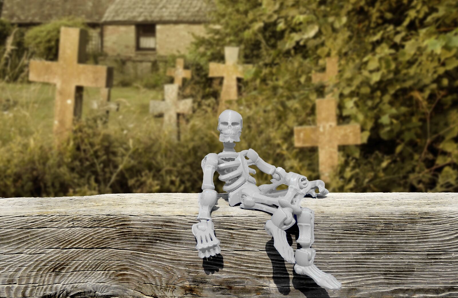 Canon PowerShot SX720 HS sample photo. Skeleton, graveyard, cemetery photography