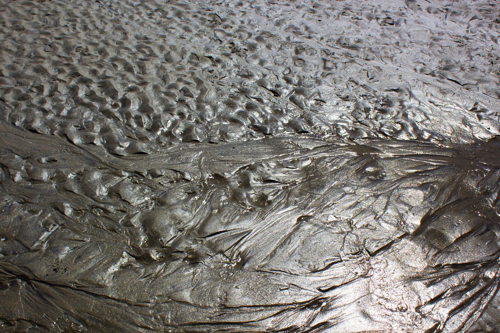 Canon EOS 600D (Rebel EOS T3i / EOS Kiss X5) sample photo. Sand, beach, summer photography