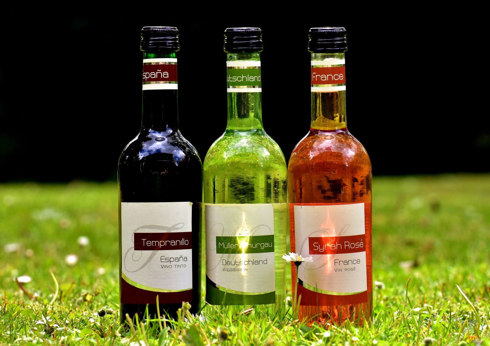 Nikon D7200 sample photo. Wine, drink, restaurant photography