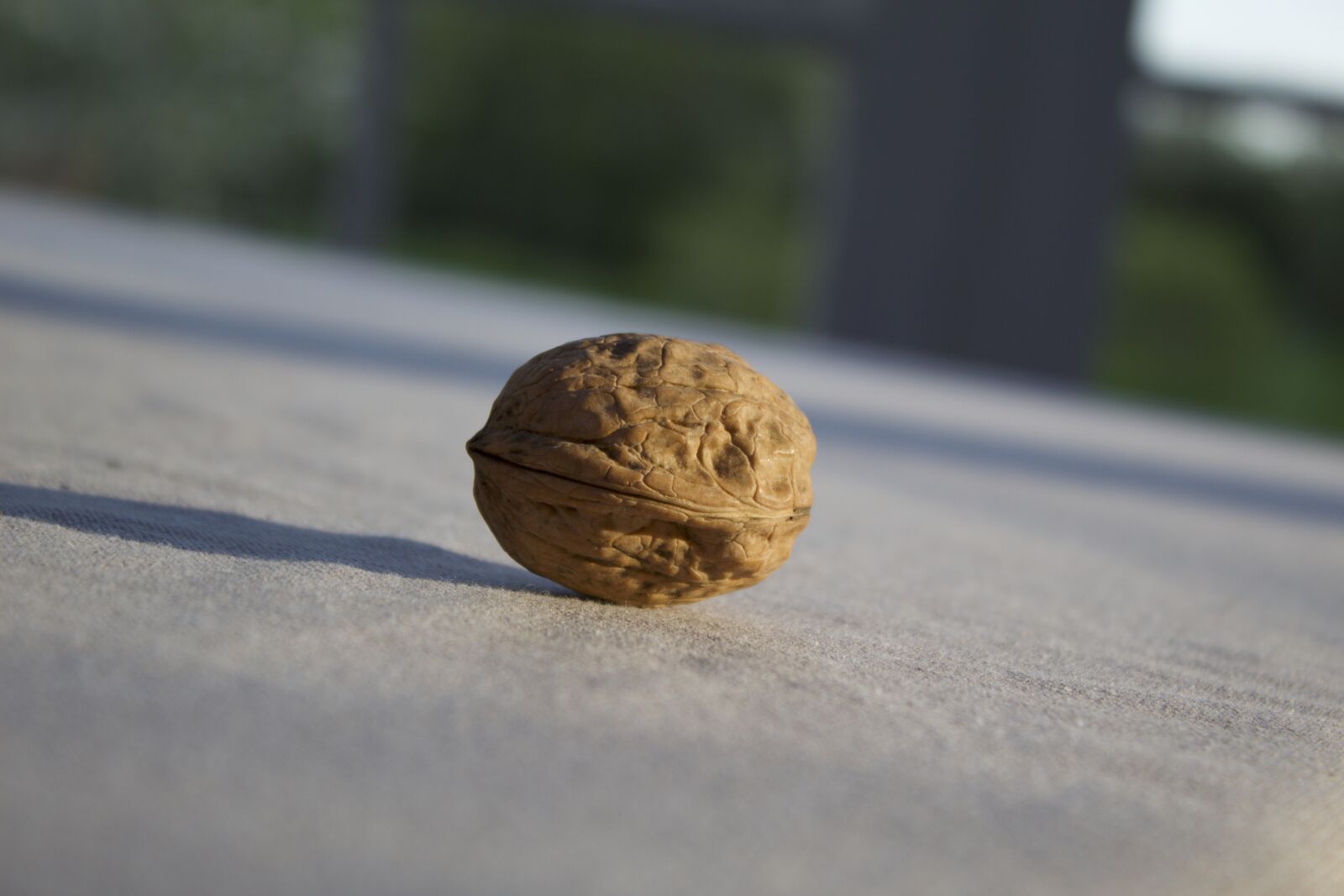 Canon EOS 1300D (EOS Rebel T6 / EOS Kiss X80) sample photo. Walnut, enjoyed, walnuts photography