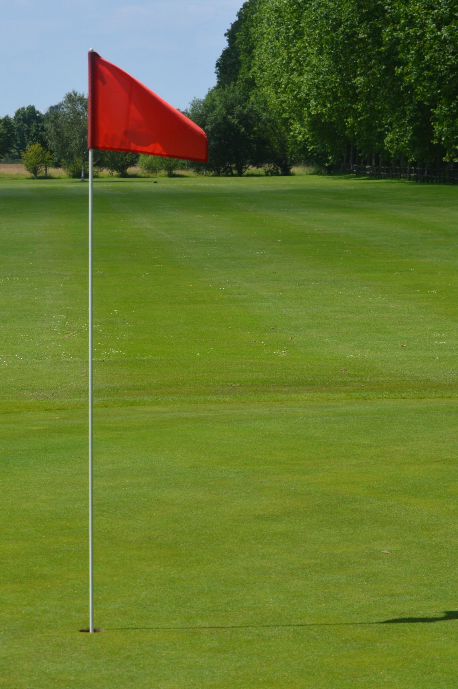 Nikon D5200 sample photo. Golf, golf course, green photography