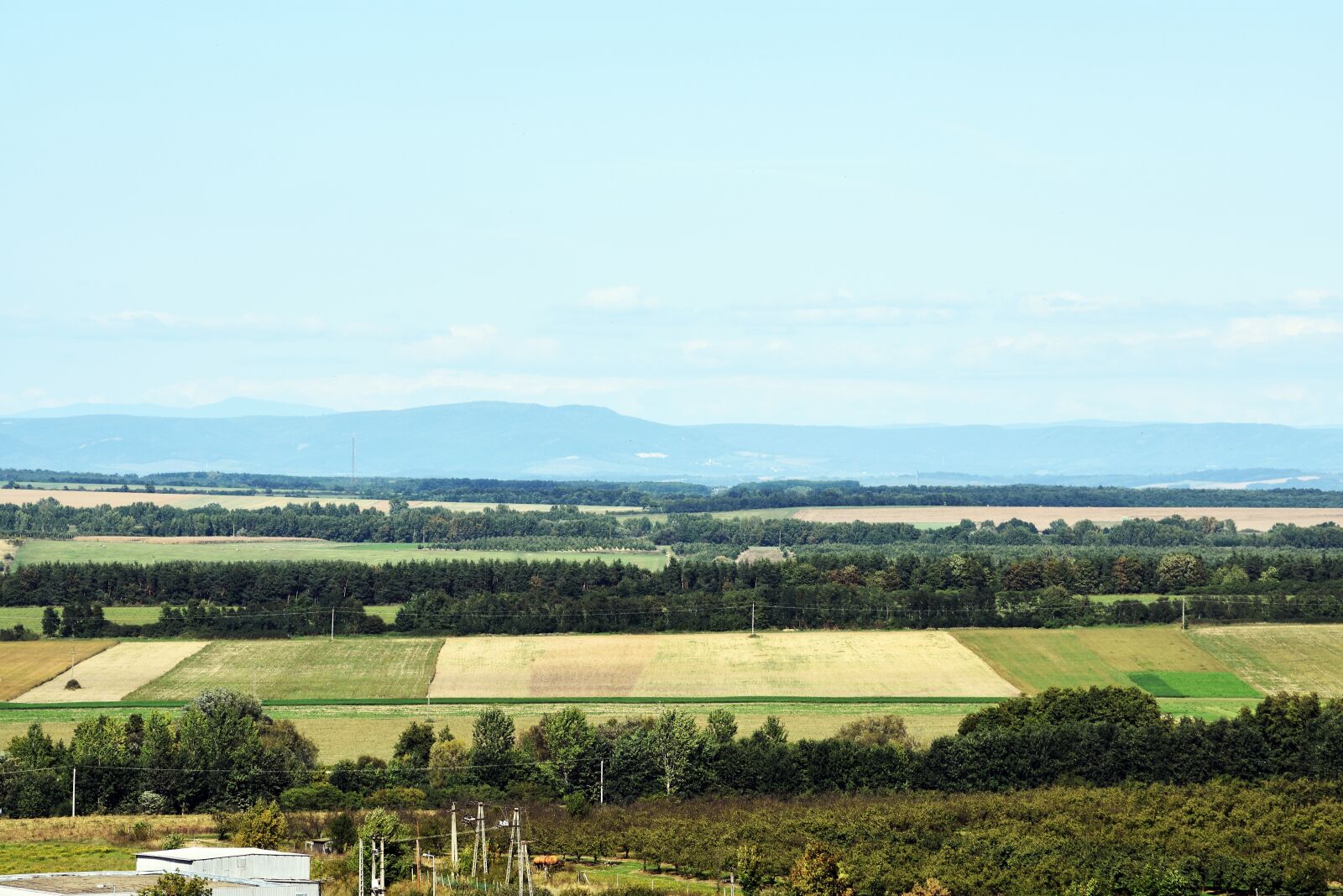 Nikon D3400 sample photo. Landscape, nature, forest photography