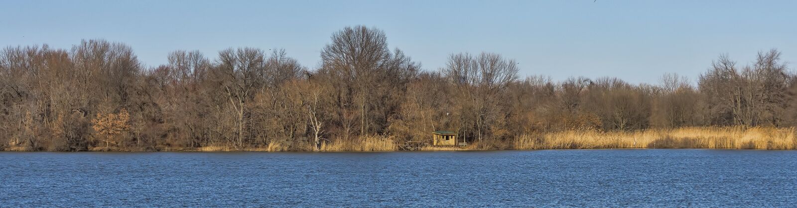 Nikon D7200 sample photo. Winter, nature, water photography