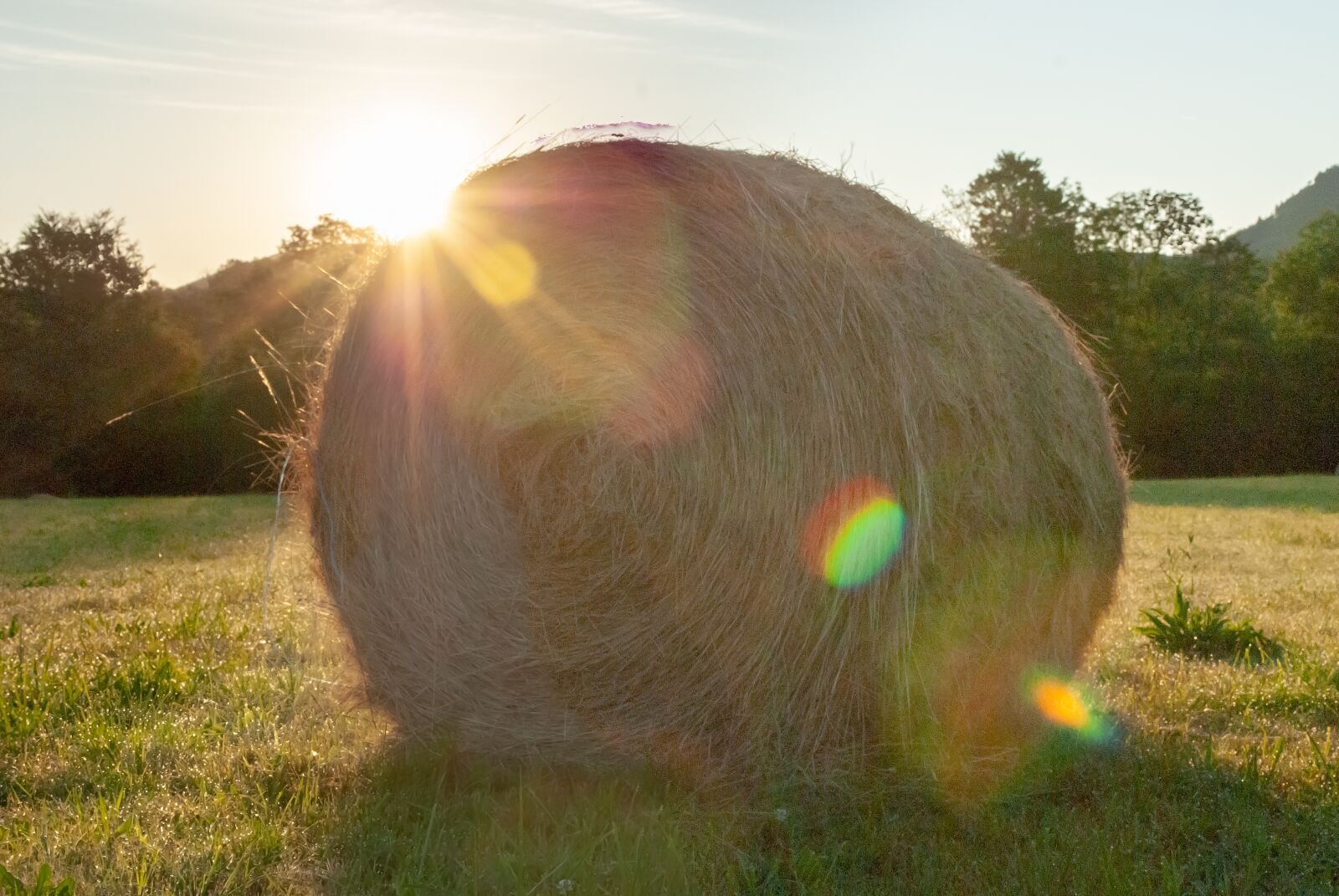 Nikon D80 sample photo. Fields, field, prairie photography