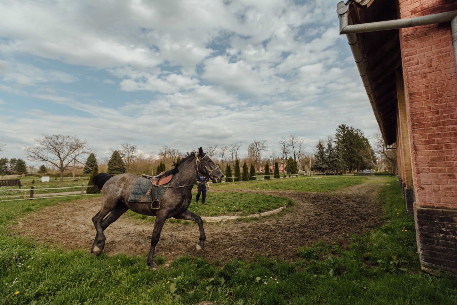Canon EF 16-35mm F2.8L II USM sample photo. Animal, horse racing, horseshoe photography
