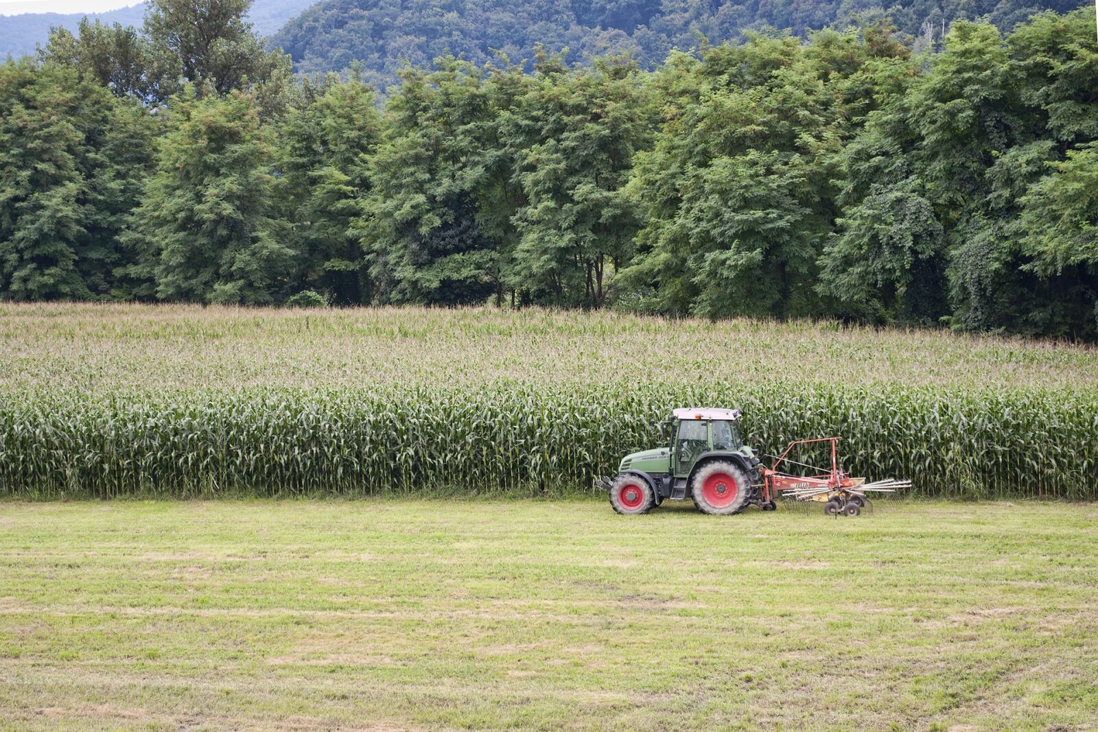 Nikon D90 sample photo. Agriculture, tractor, corn photography