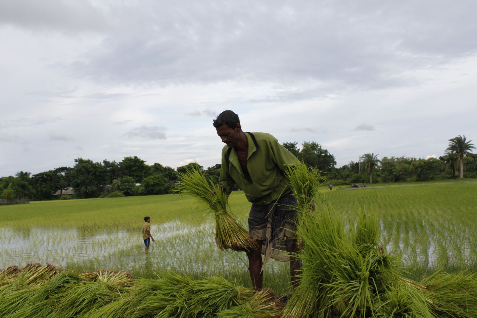 Canon EOS 500D (EOS Rebel T1i / EOS Kiss X3) sample photo. Bangladesh, canal, farmer, fisherman photography