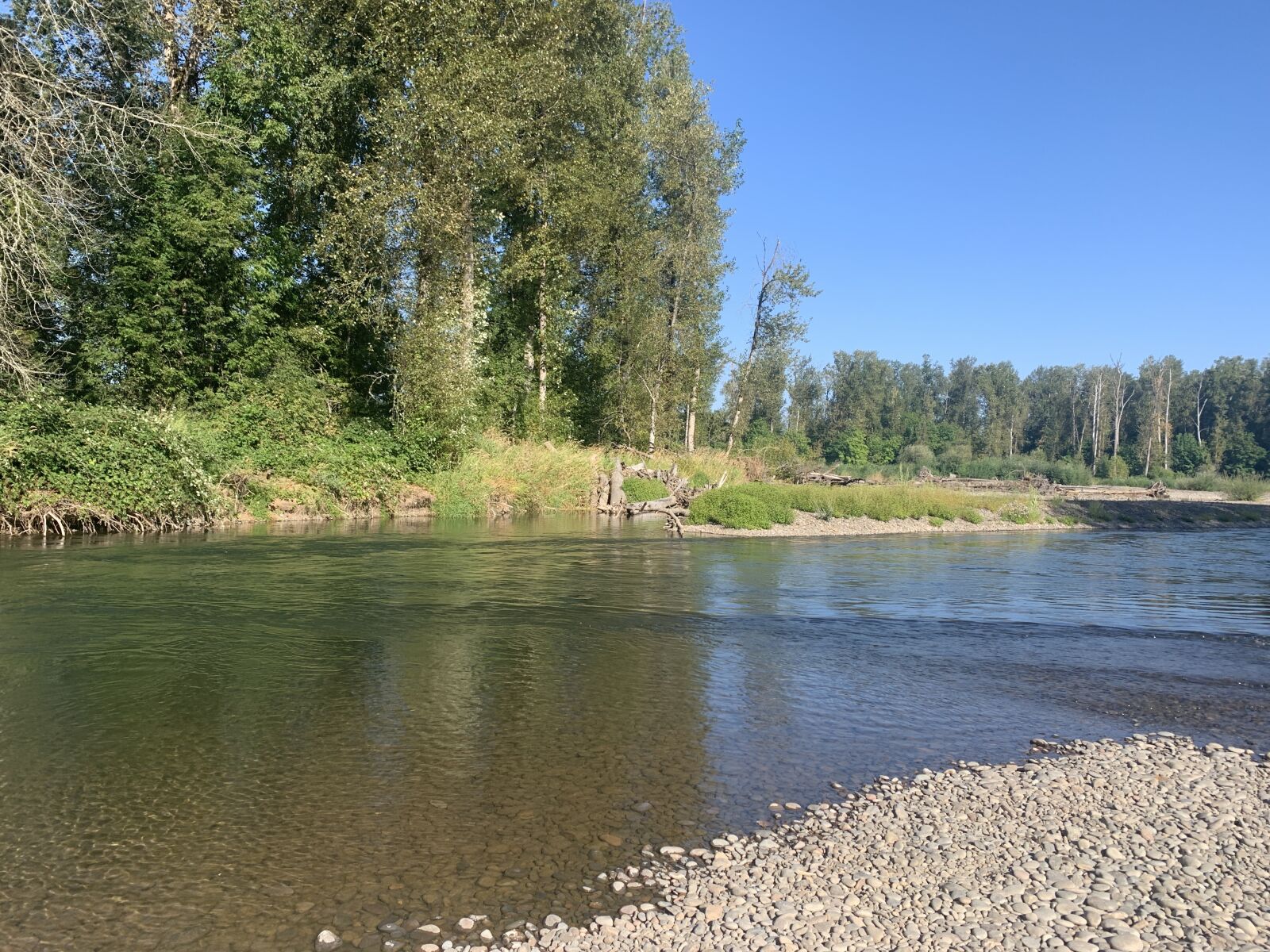 iPhone XR back camera 4.25mm f/1.8 sample photo. River, oregon, nature photography