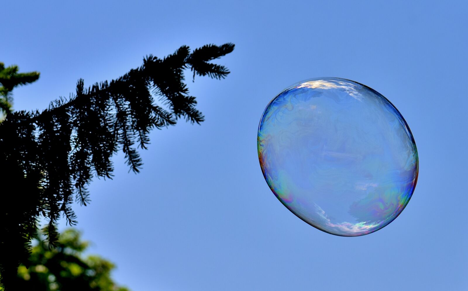 Nikon D7200 sample photo. Soap bubble, huge, large photography