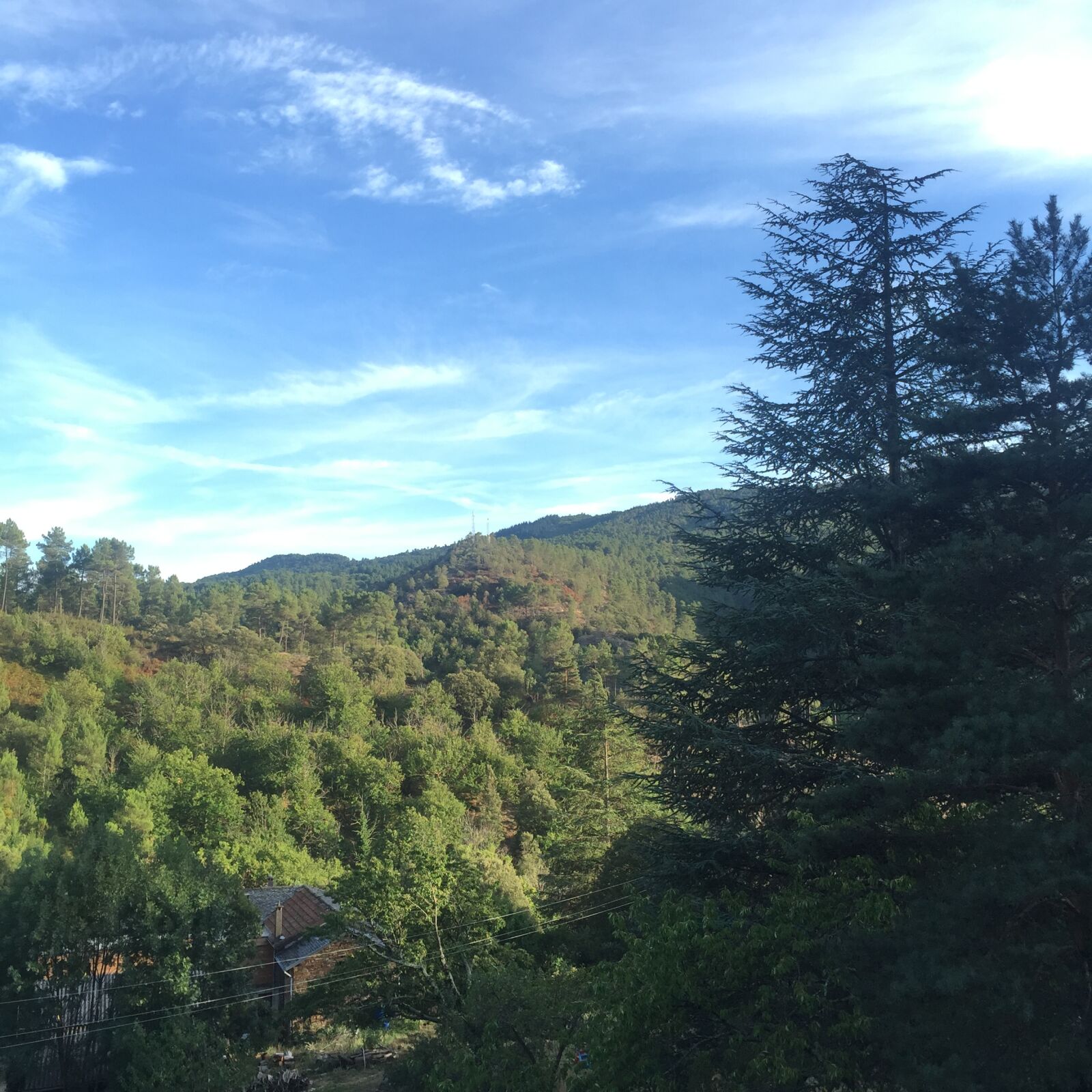 Apple iPhone 6 sample photo