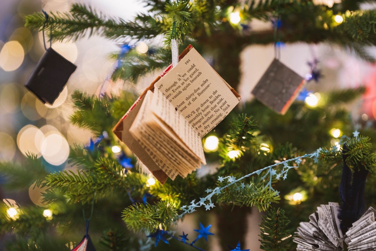 Nikon D750 sample photo. Branch, celebrating, christmas photography