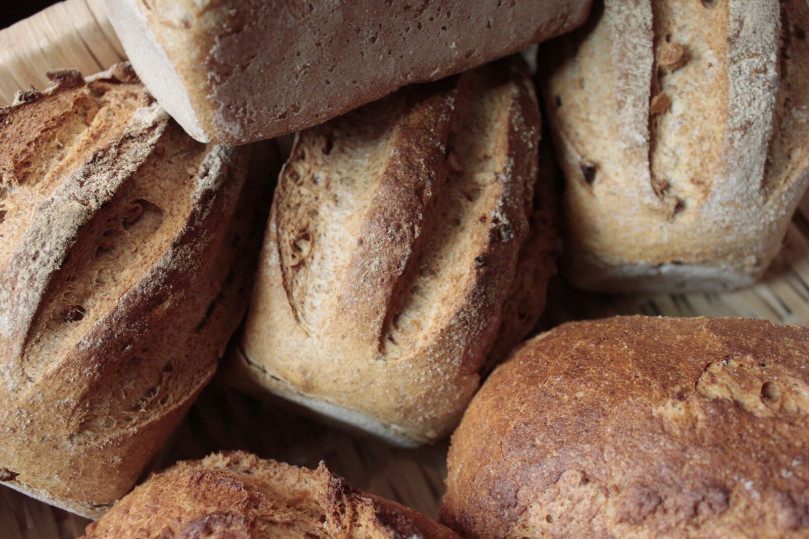 Canon EOS 500D (EOS Rebel T1i / EOS Kiss X3) sample photo. Bread, bakery, artisan bread photography