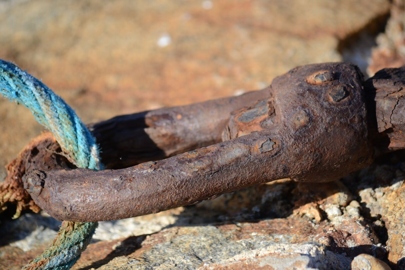 Nikon D3100 sample photo. Knot, rust, anchor photography
