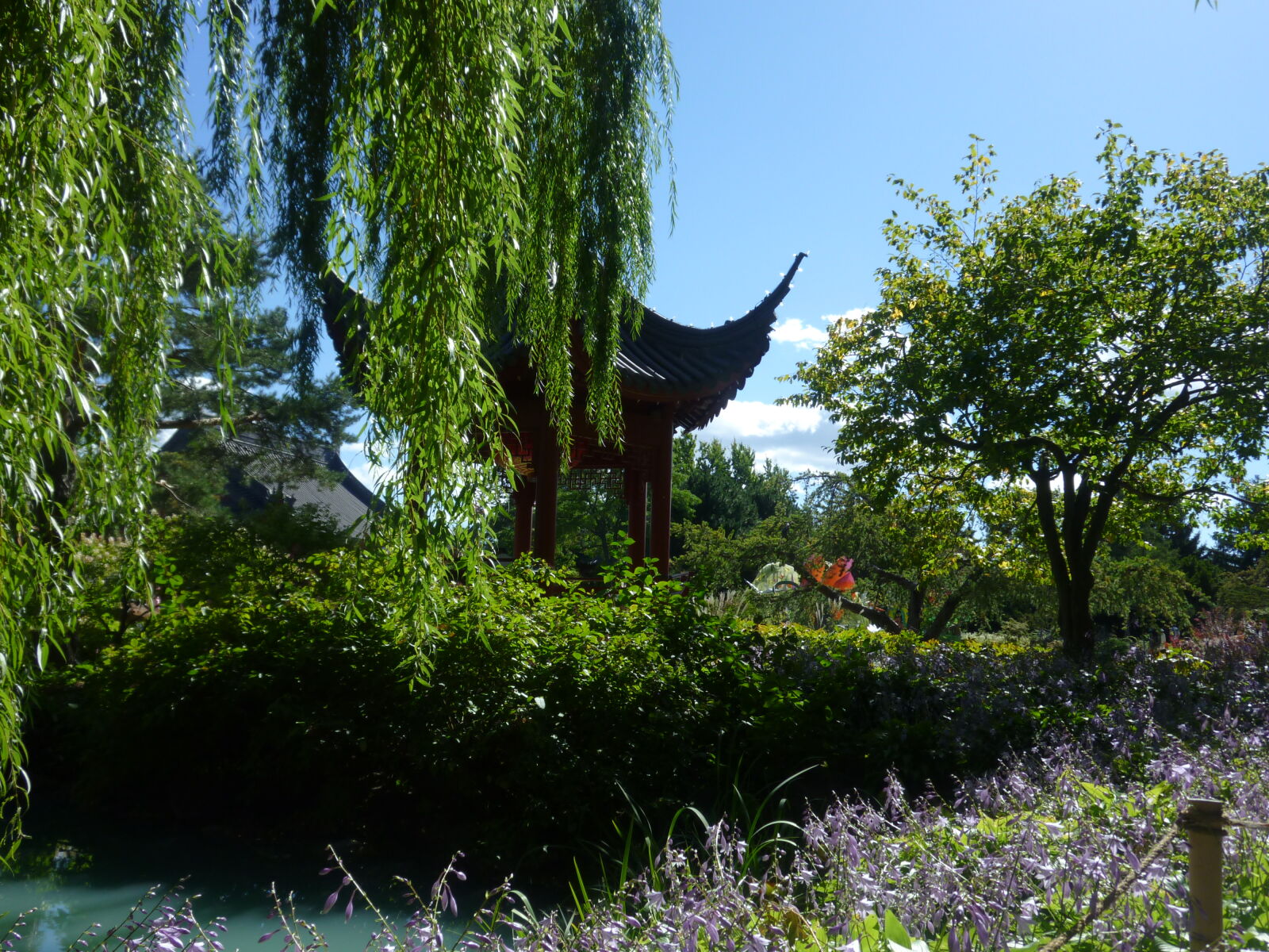 Panasonic DMC-ZR1 sample photo