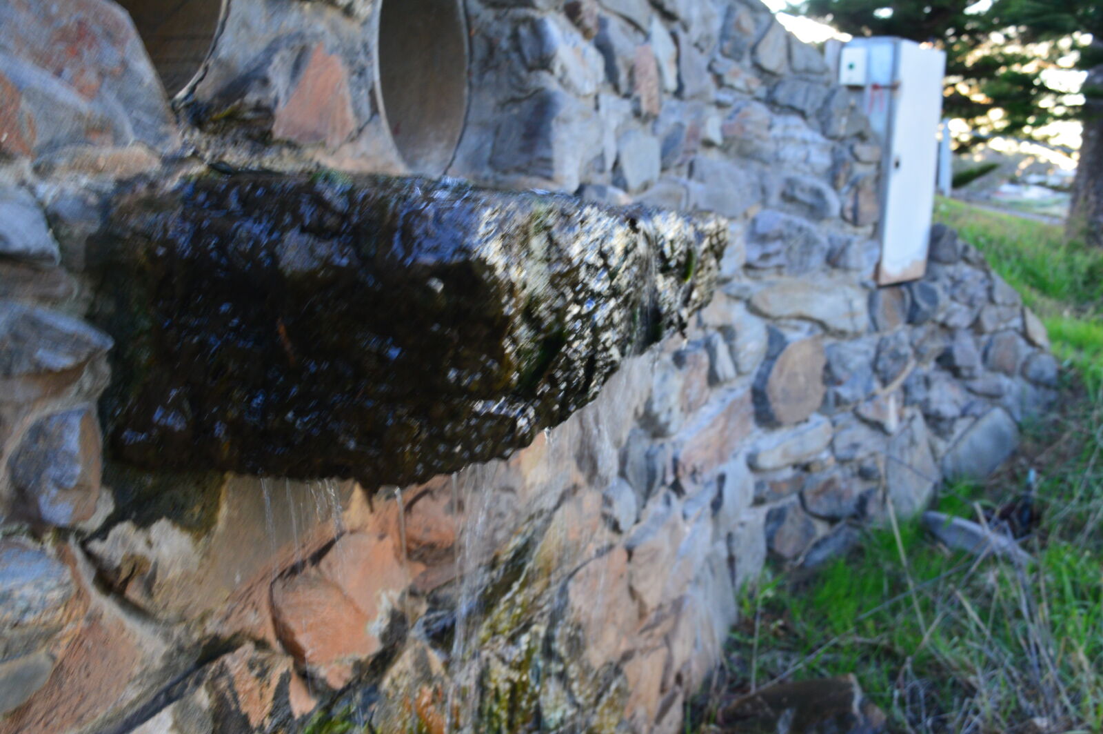 Nikon D3200 sample photo