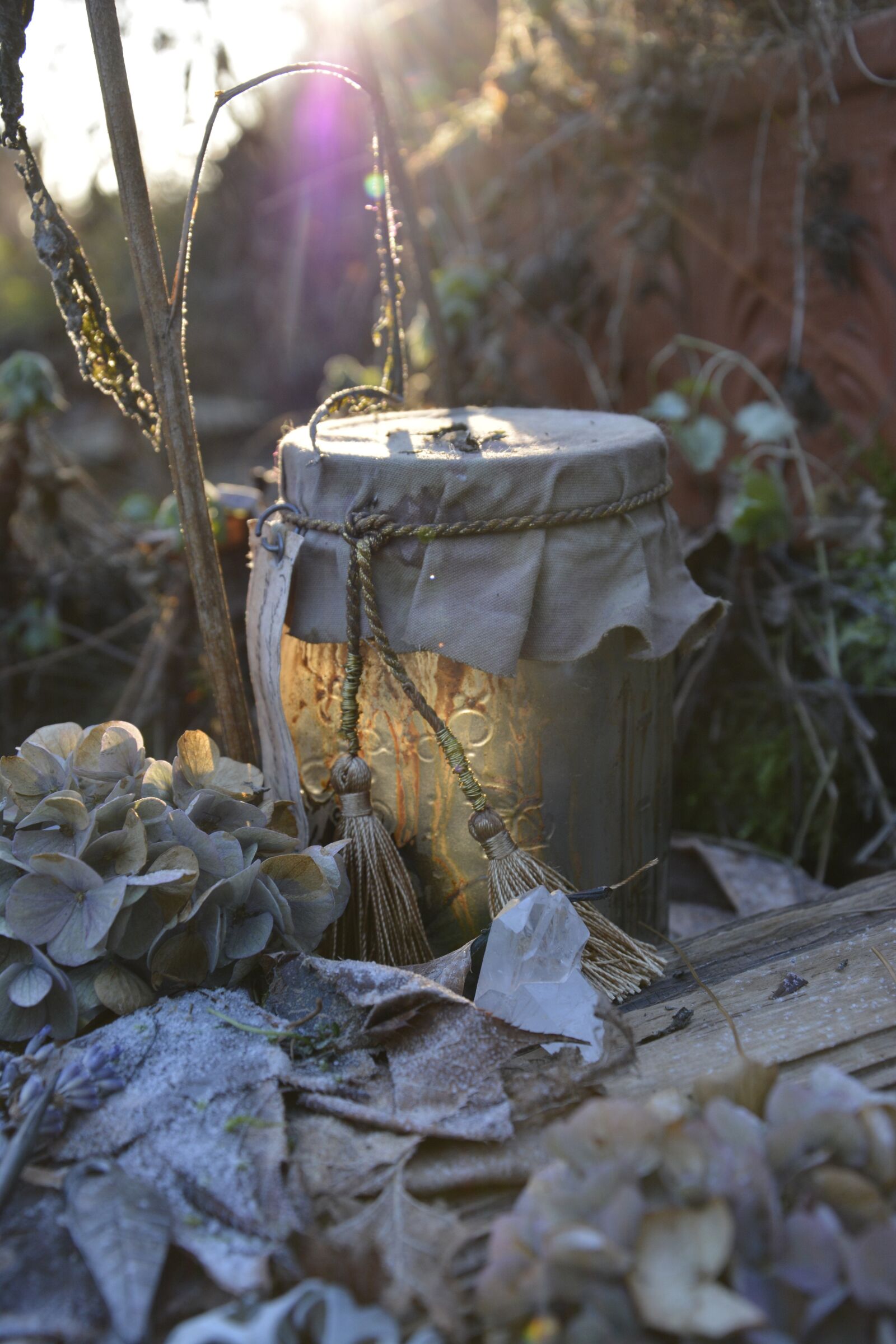 Nikon D7100 sample photo. Winter, frost, old glass photography