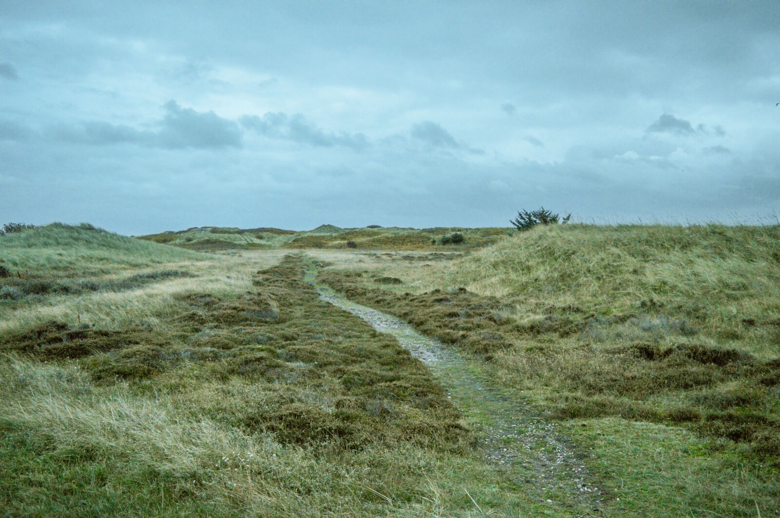 Nikon D3200 sample photo. Denmark, landscape, nature, road photography