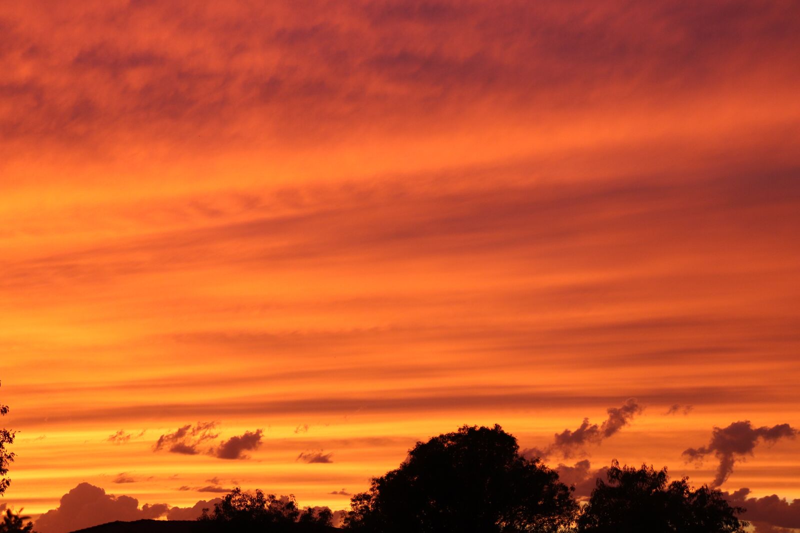 Canon EOS 200D (EOS Rebel SL2 / EOS Kiss X9) sample photo. Arizona, sunset, landscape photography