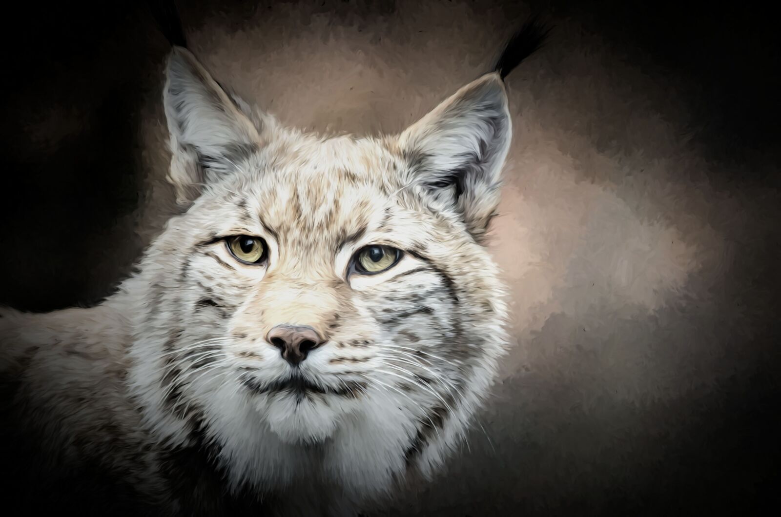 Nikon D7000 sample photo. Lynx, wildlife, cat photography