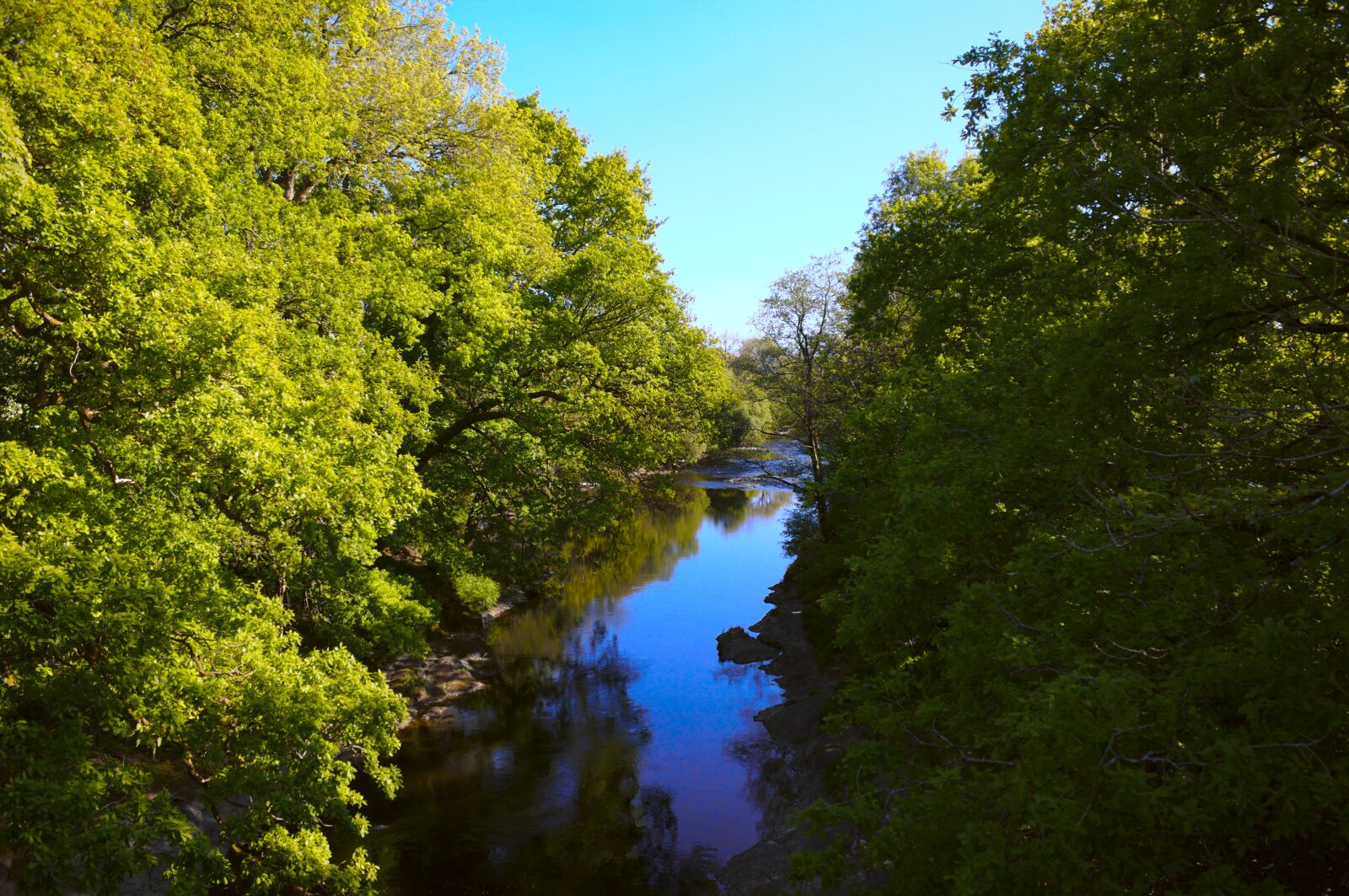 Canon EOS 50D sample photo. River, trees, landscape photography