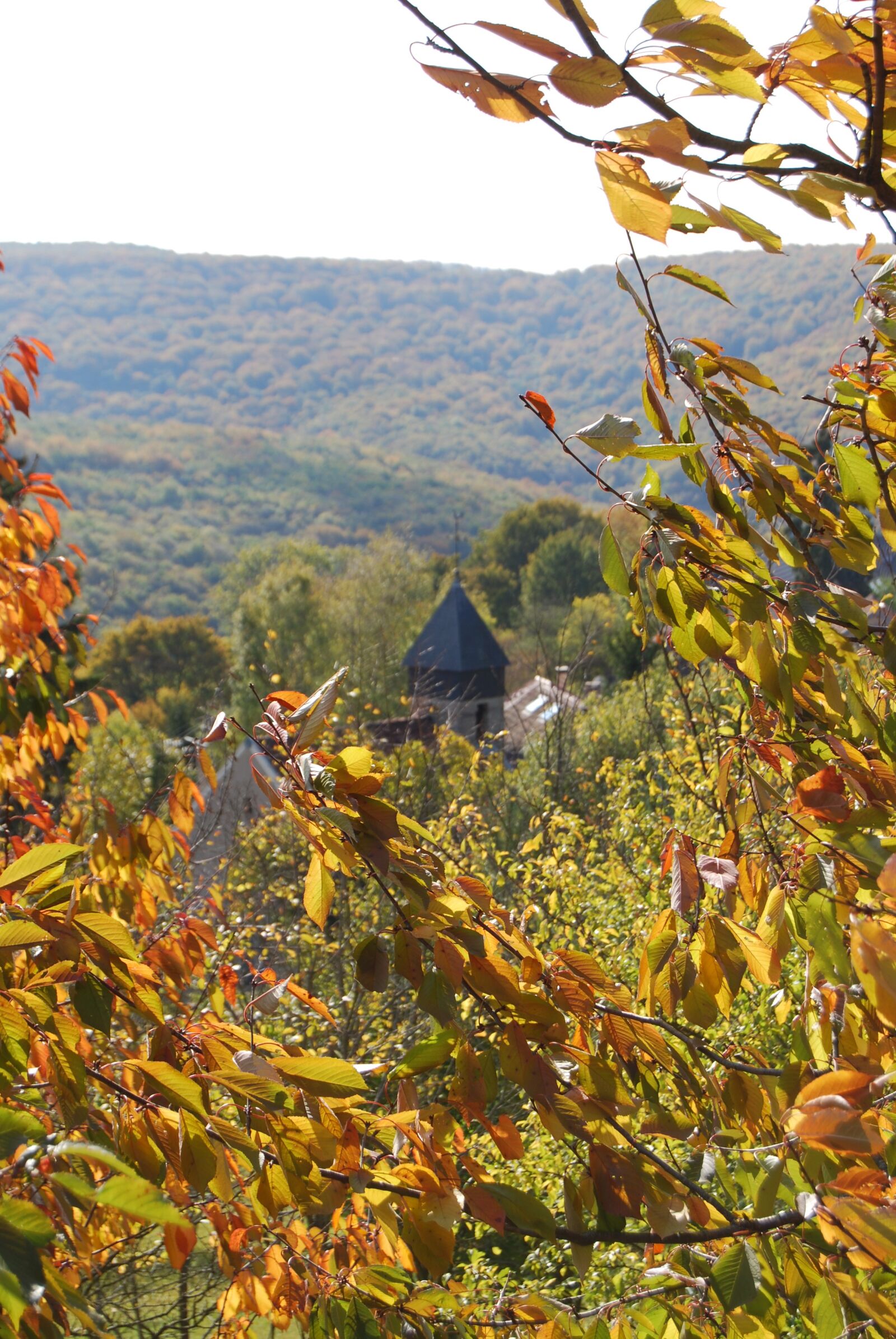 Nikon D40X sample photo. Fall, bell tower, village photography