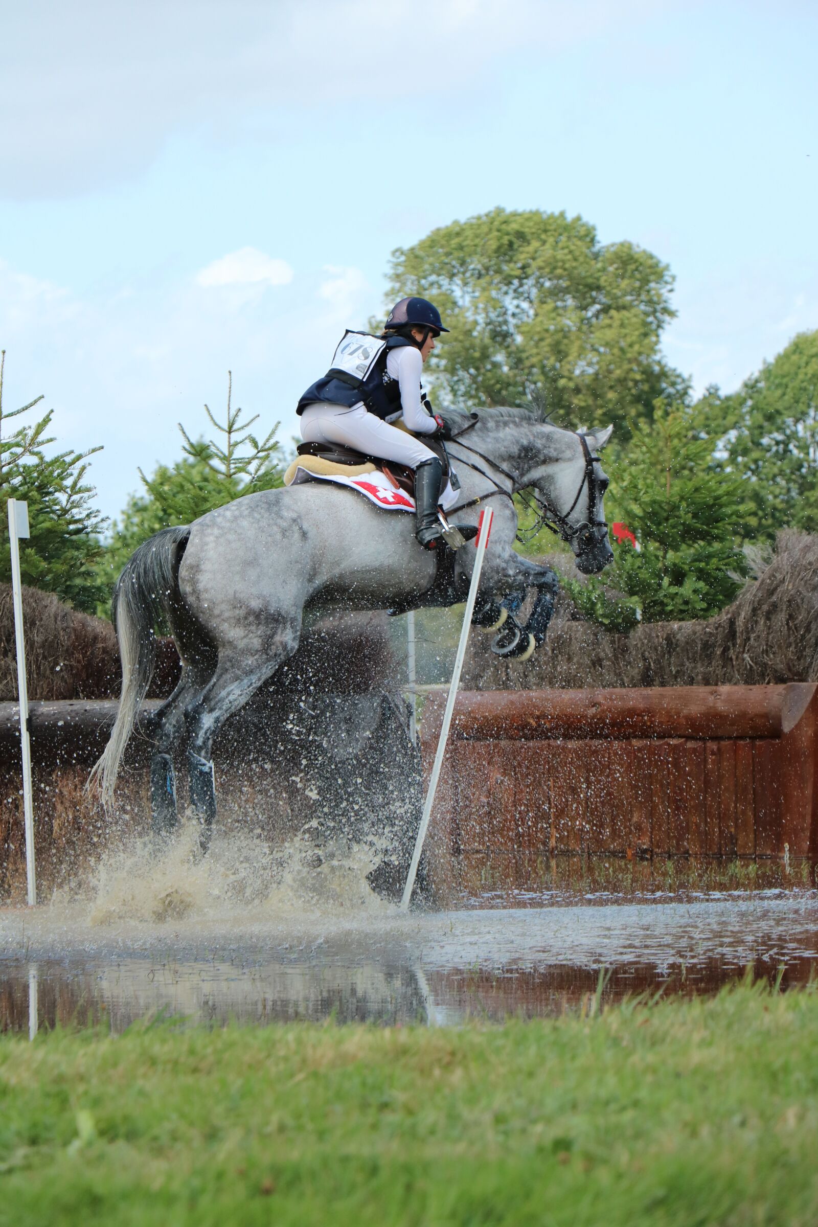 Canon EOS 750D (EOS Rebel T6i / EOS Kiss X8i) sample photo. Haras du pin, national photography