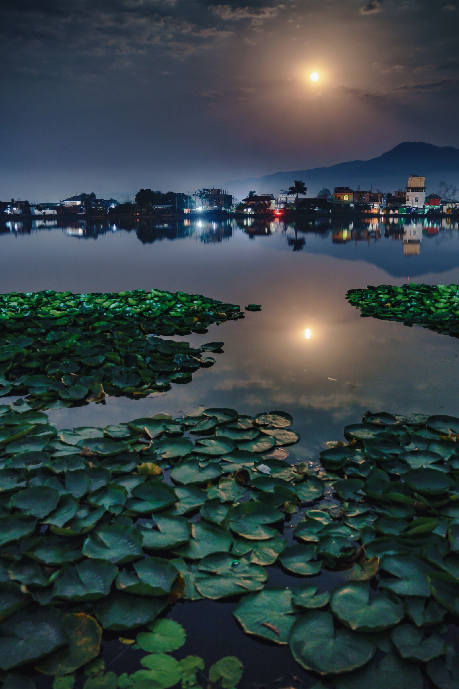 Sony a9 + Sony FE 24-70mm F2.8 GM sample photo. Moon, moonlight, pond photography